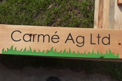Carme Ag Ltd