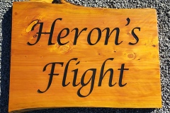 Herons-Flight