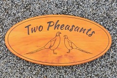 Two-Pheasants